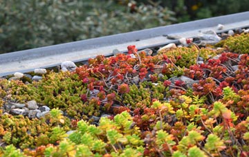 the cost of Talybont On Usk green roof installation